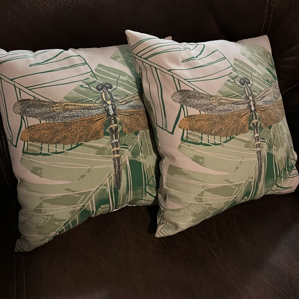 EUC Dragonfly Pillows - Picture 1 of 2